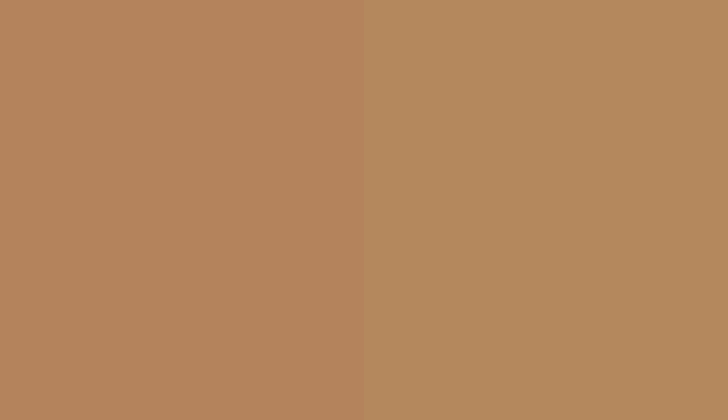 HEX #B4835C to RAL 1011 HEX #B4835C to RAL 1011
