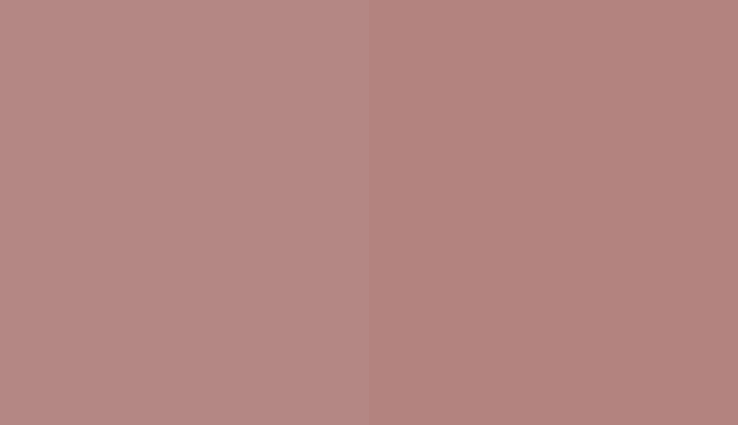 HEX #B48784 to RAL 030 60 20 HEX #B48784 to RAL 030 60 20