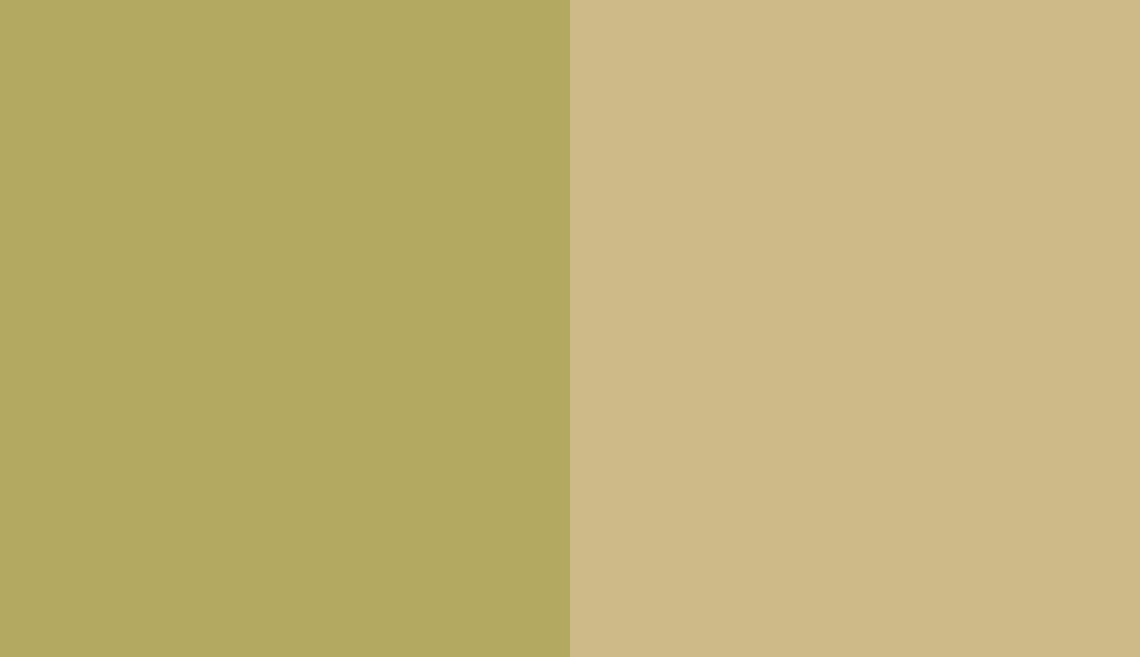 HEX #B4A961 to RAL 1000 HEX #B4A961 to RAL 1000