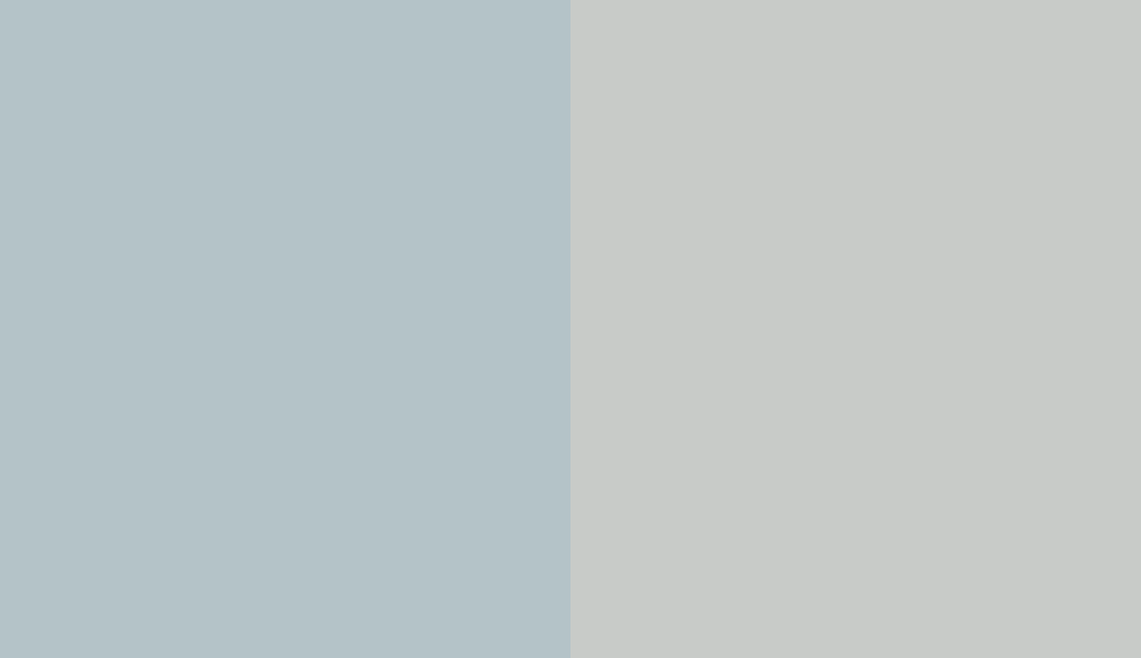 HEX #B4C3C8 to RAL 7035