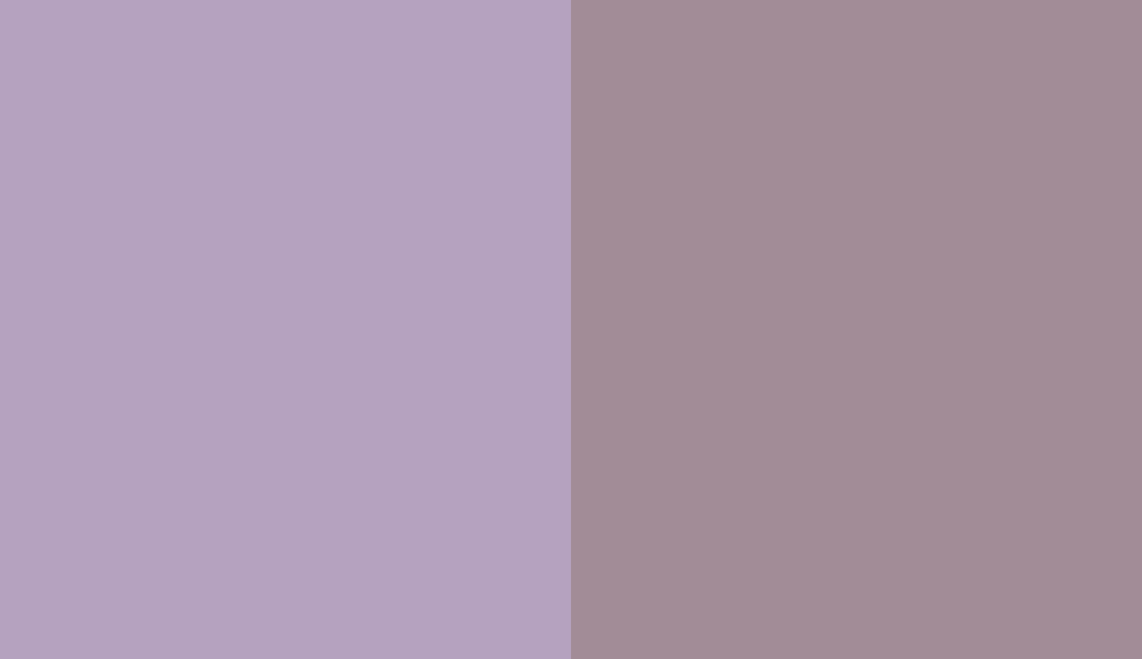 HEX #B5A2BF to RAL 4009 HEX #B5A2BF to RAL 4009