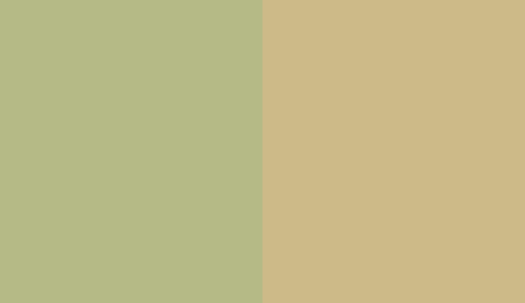 HEX #B5BA86 to RAL 1000 HEX #B5BA86 to RAL 1000