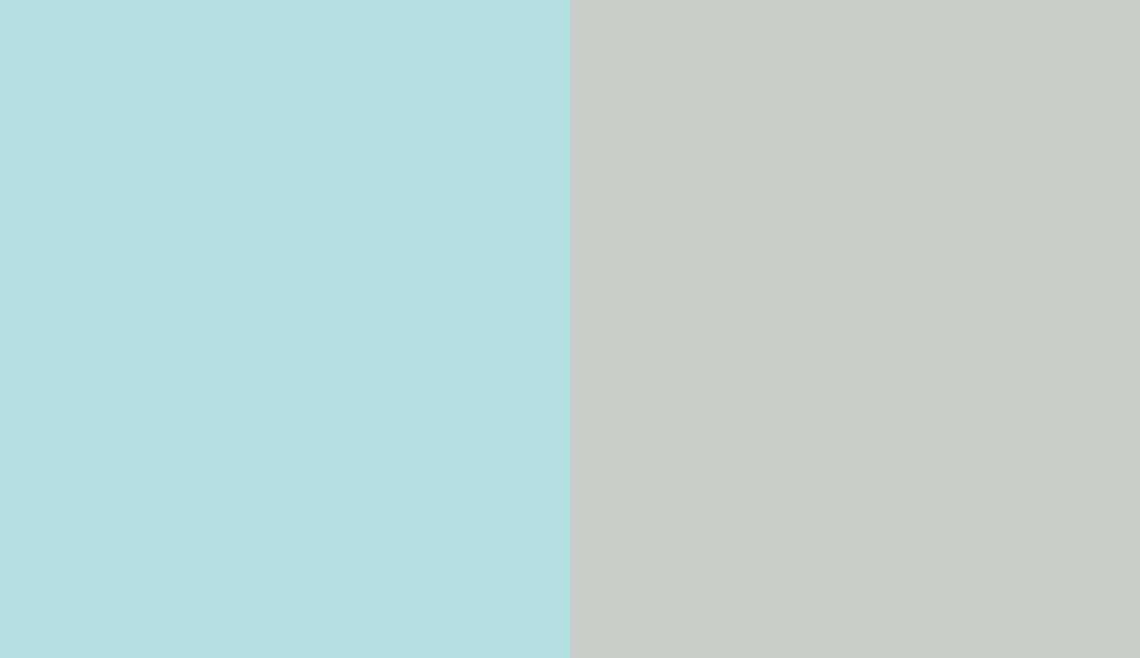 HEX #B5DFE0 to RAL 9018