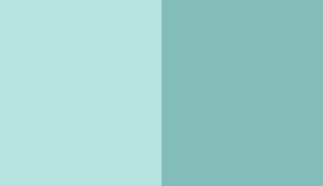 HEX #B5E5DE to RAL 6027