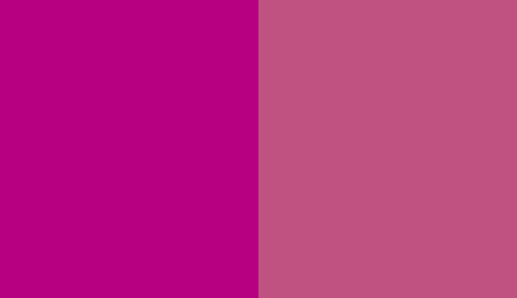 HEX #B60081 to RAL 4010