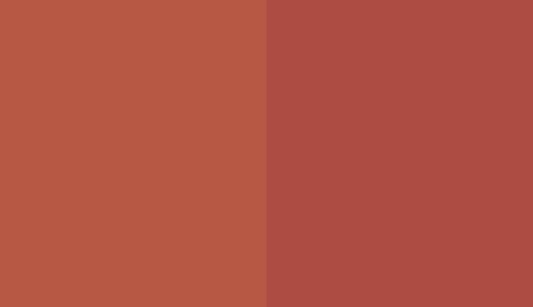 HEX #B65944 to RAL 3016