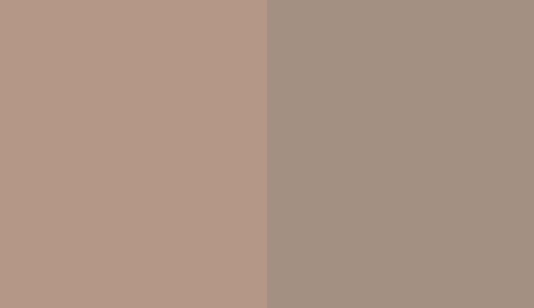 HEX #B69687 to RAL 050 60 10 HEX #B69687 to RAL 050 60 10