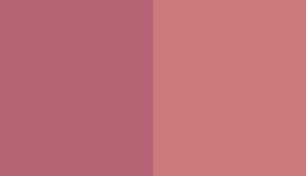 HEX #B76476 to RAL 3014 HEX #B76476 to RAL 3014
