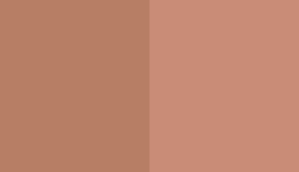 HEX #B77E65 to RAL 3012 HEX #B77E65 to RAL 3012