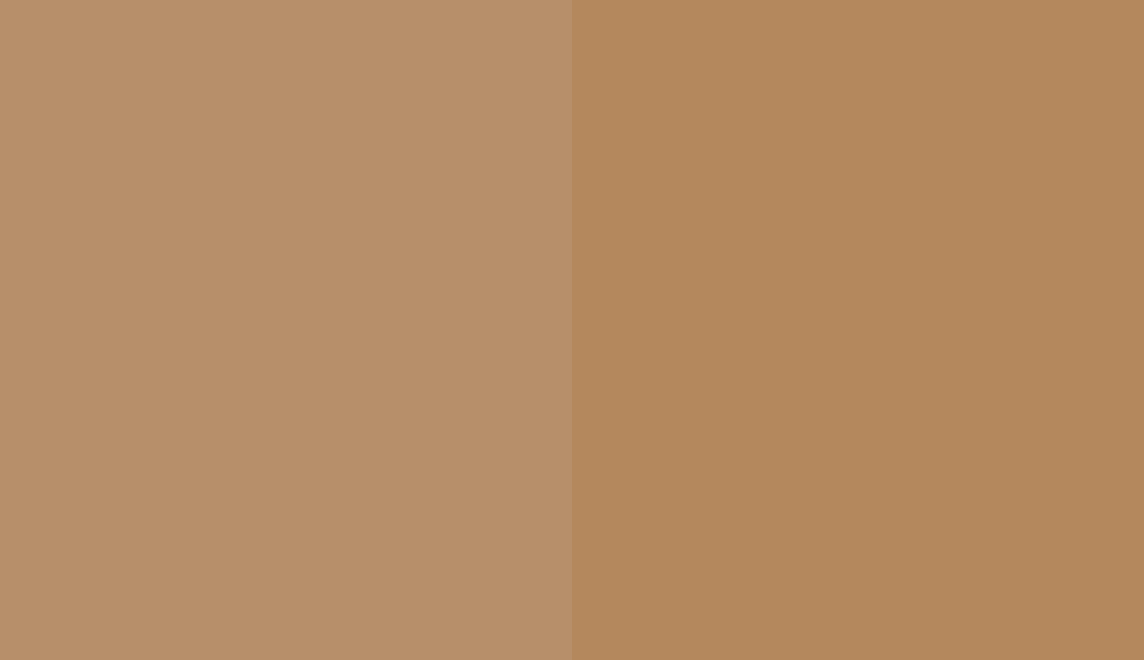 HEX #B78F6A to RAL 1011 HEX #B78F6A to RAL 1011