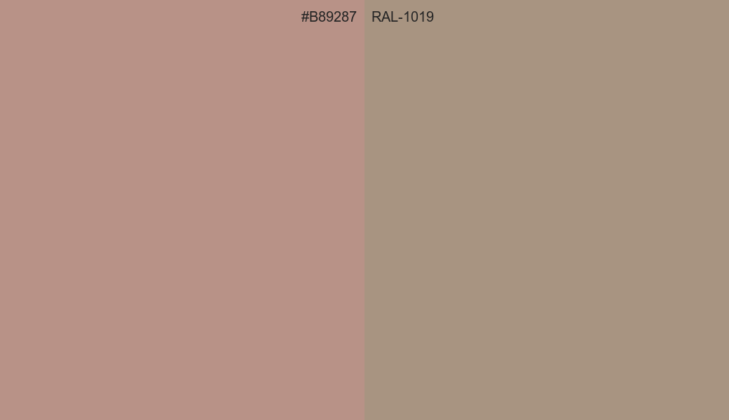 HEX Color B89287 to RAL 1019 Conversion comparison