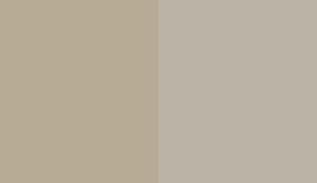 HEX #B8AB96 to RAL 7032