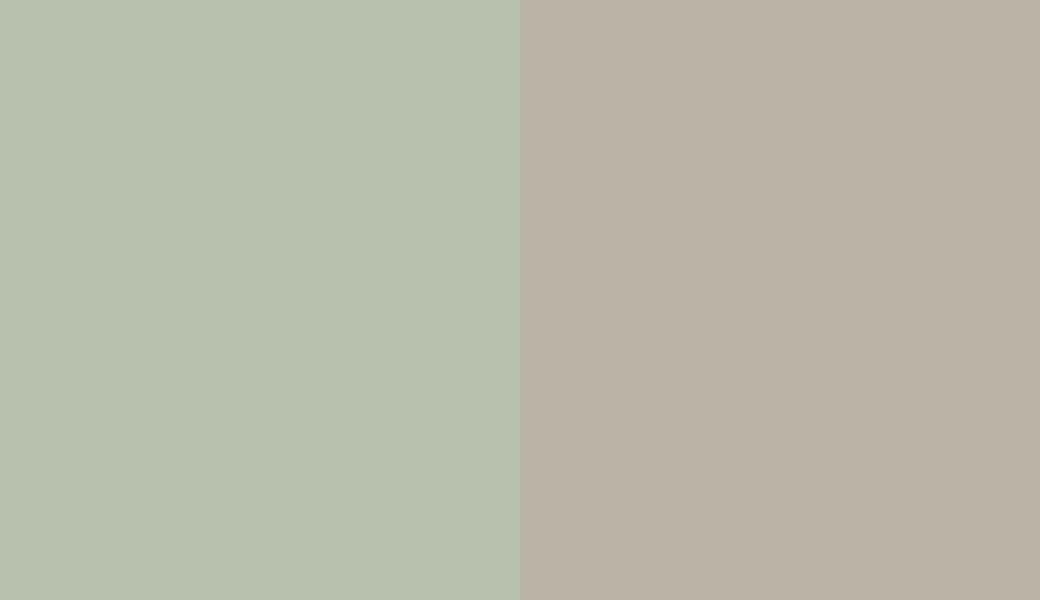 HEX #B8C1AD to RAL 7032 HEX #B8C1AD to RAL 7032