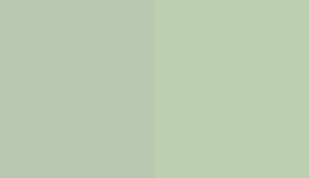 HEX #B8C8B0 to RAL 6019