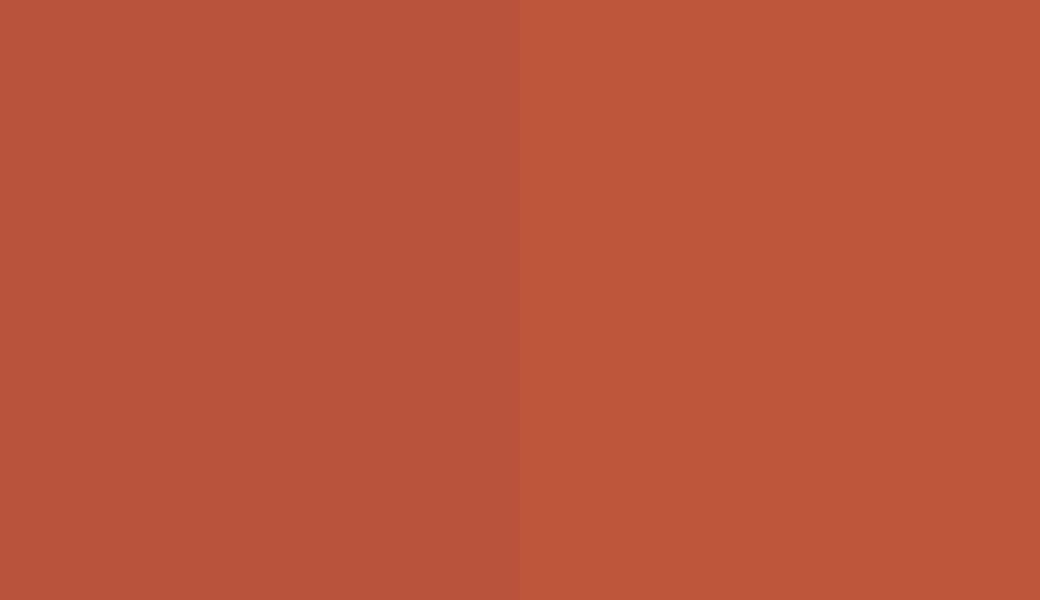 HEX #B9533C to RAL 2001