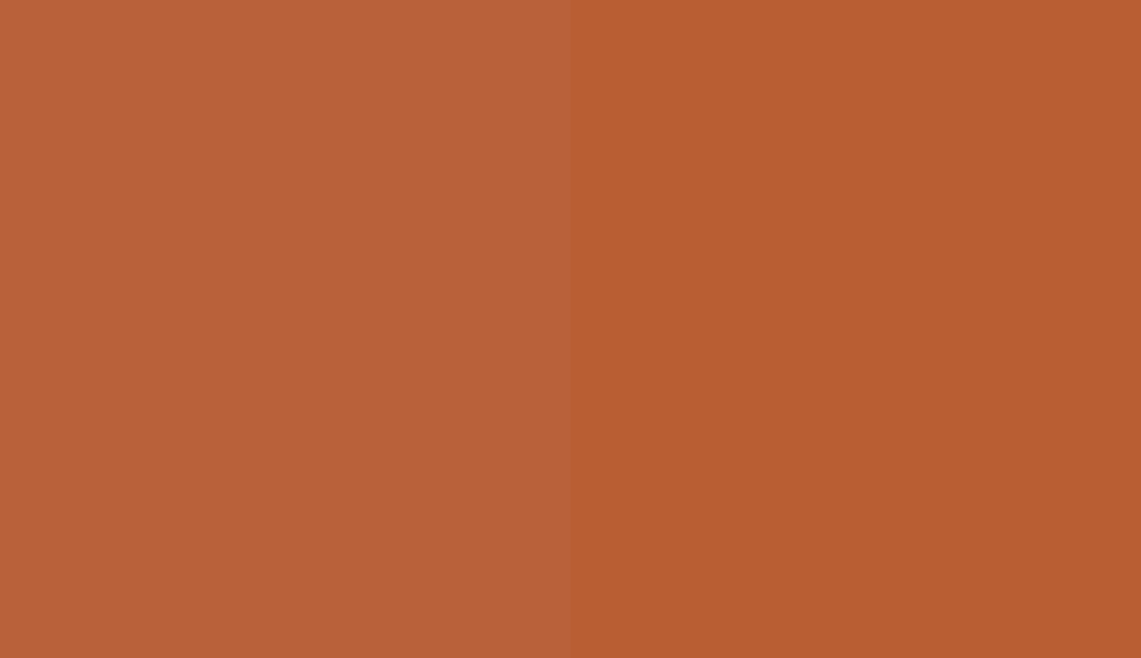 HEX #B9613A to RAL 050 50 50 HEX #B9613A to RAL 050 50 50