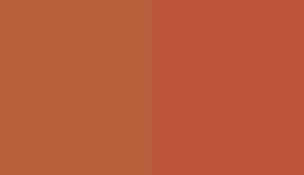 HEX #B9613A to RAL 2001 HEX #B9613A to RAL 2001