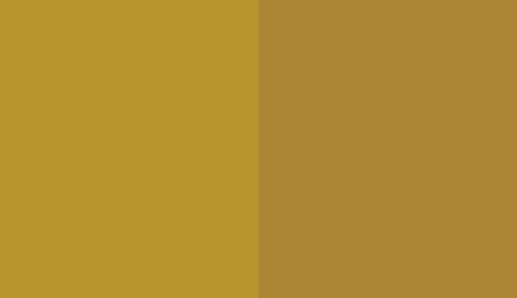 HEX #B9952F to RAL 1027