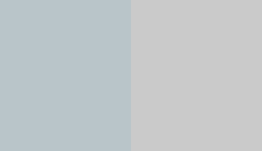 HEX #B9C5C9 to RAL 7047