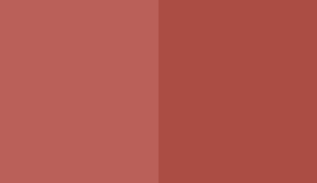 HEX #BA6059 to RAL 3016