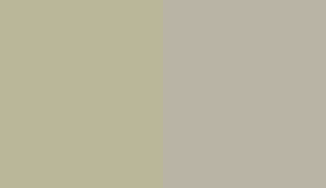 HEX #BAB799 to RAL 7032 HEX #BAB799 to RAL 7032