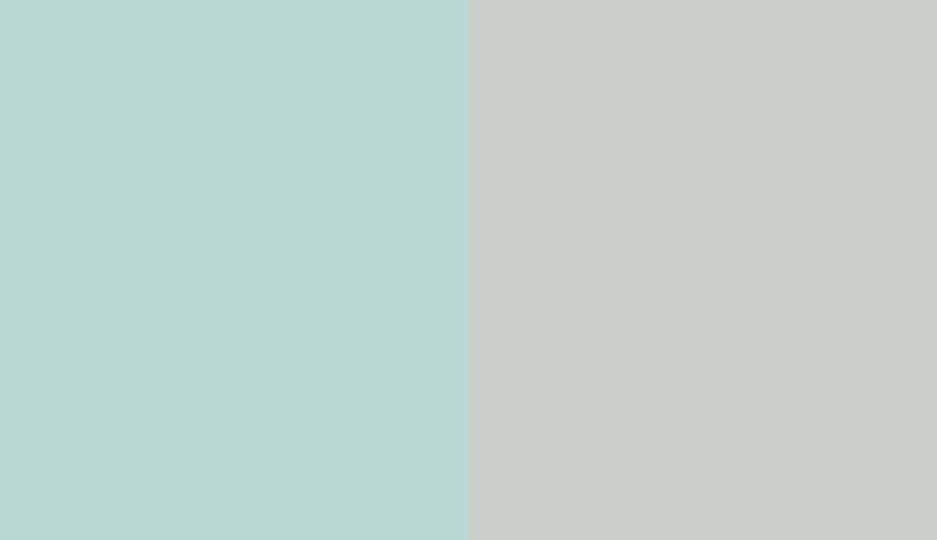 HEX #BAD9D5 to RAL 9018 HEX #BAD9D5 to RAL 9018