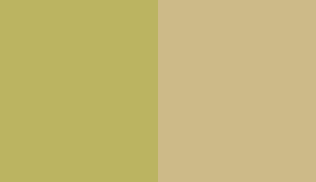 HEX #BBB461 to RAL 1000 HEX #BBB461 to RAL 1000