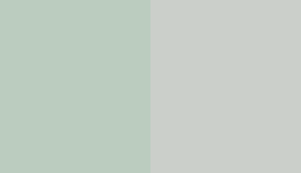 HEX #BBCCBF to RAL 9018