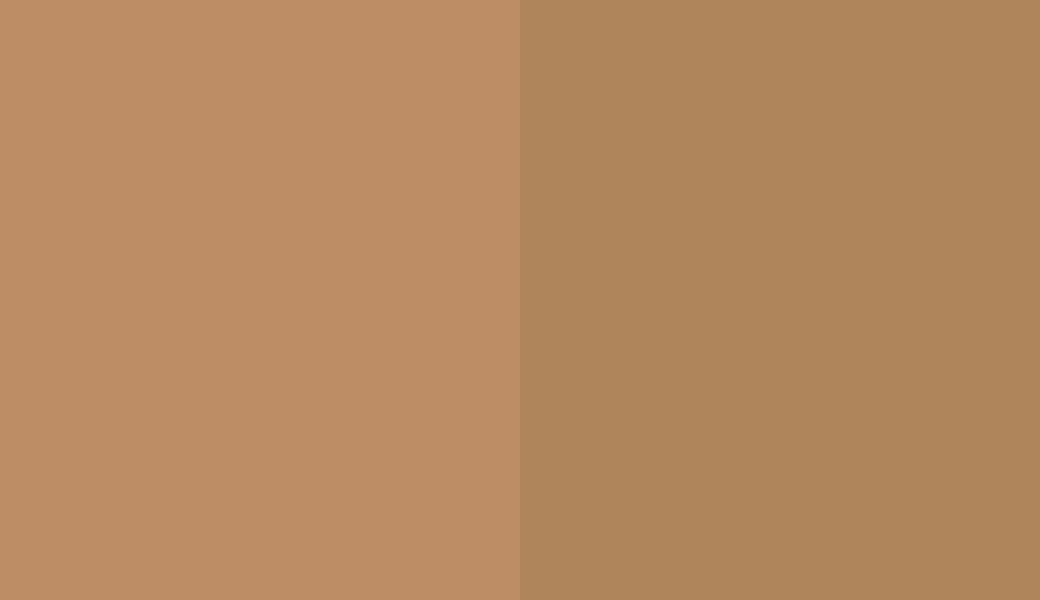 HEX #BD8D65 to RAL 070 60 30
