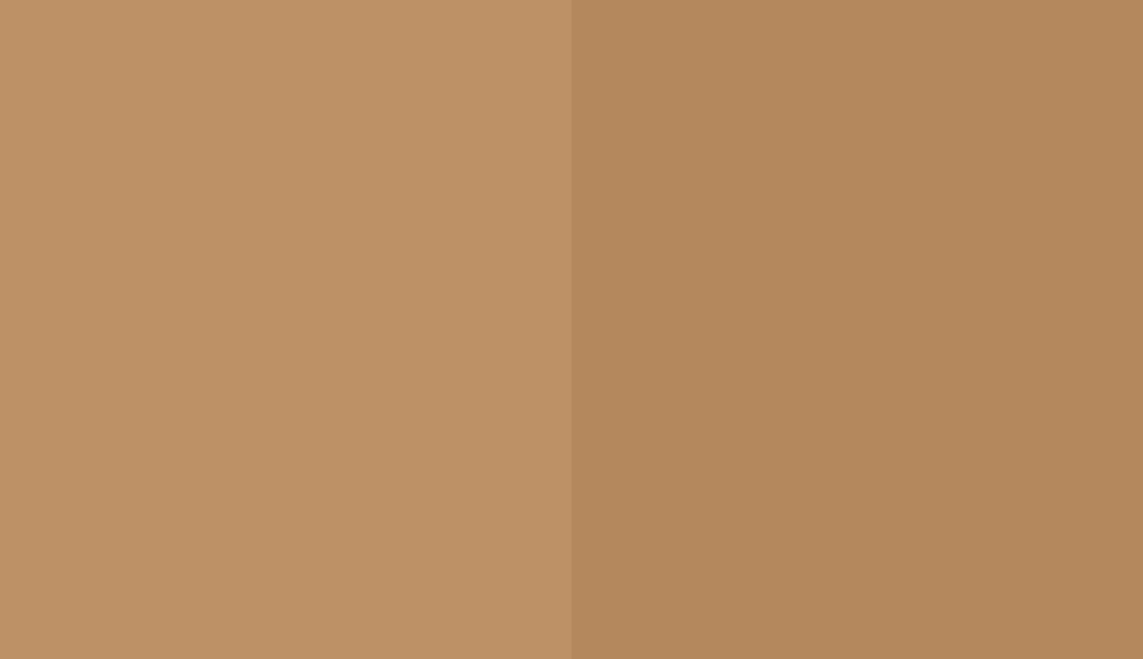 HEX #BD9166 to RAL 1011