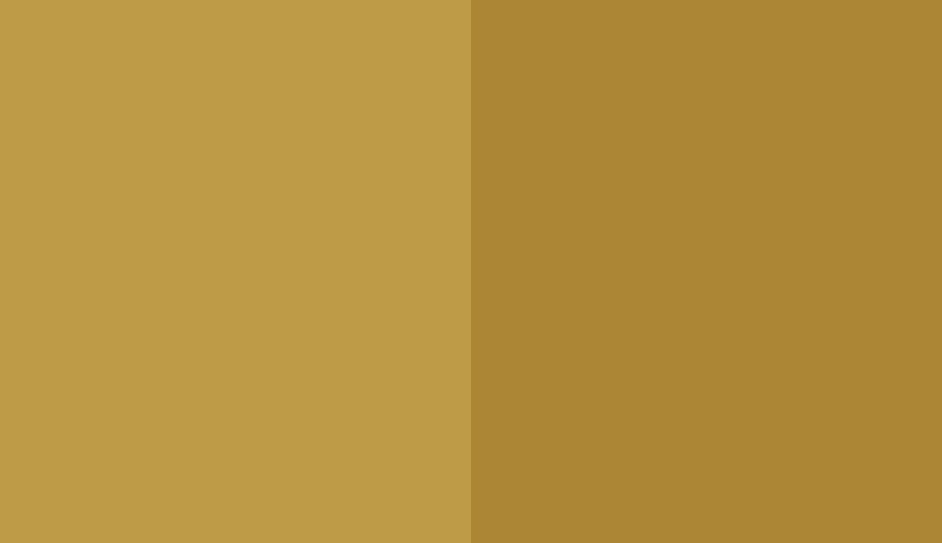 HEX #BE9B47 to RAL 1027