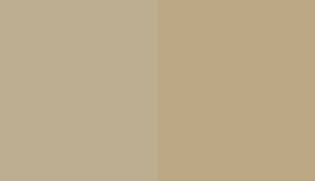 HEX #BEAE91 to RAL 085 70 20 HEX #BEAE91 to RAL 085 70 20