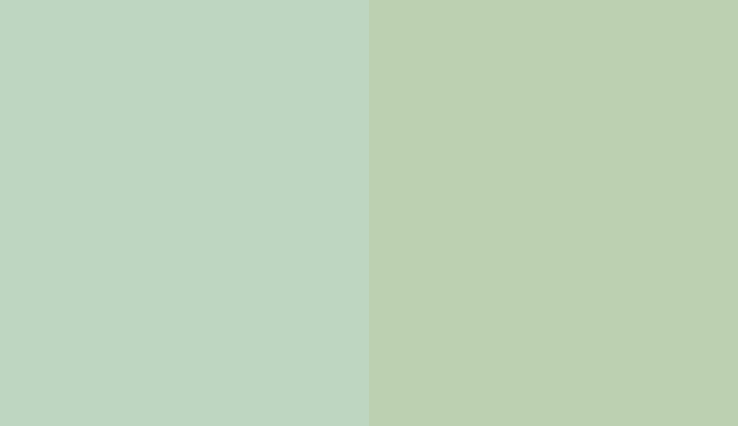 HEX #BED6C1 to RAL 6019