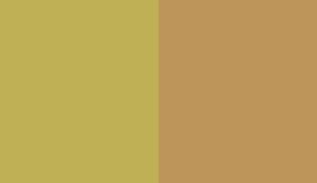 HEX #BFAF55 to RAL 1024 HEX #BFAF55 to RAL 1024