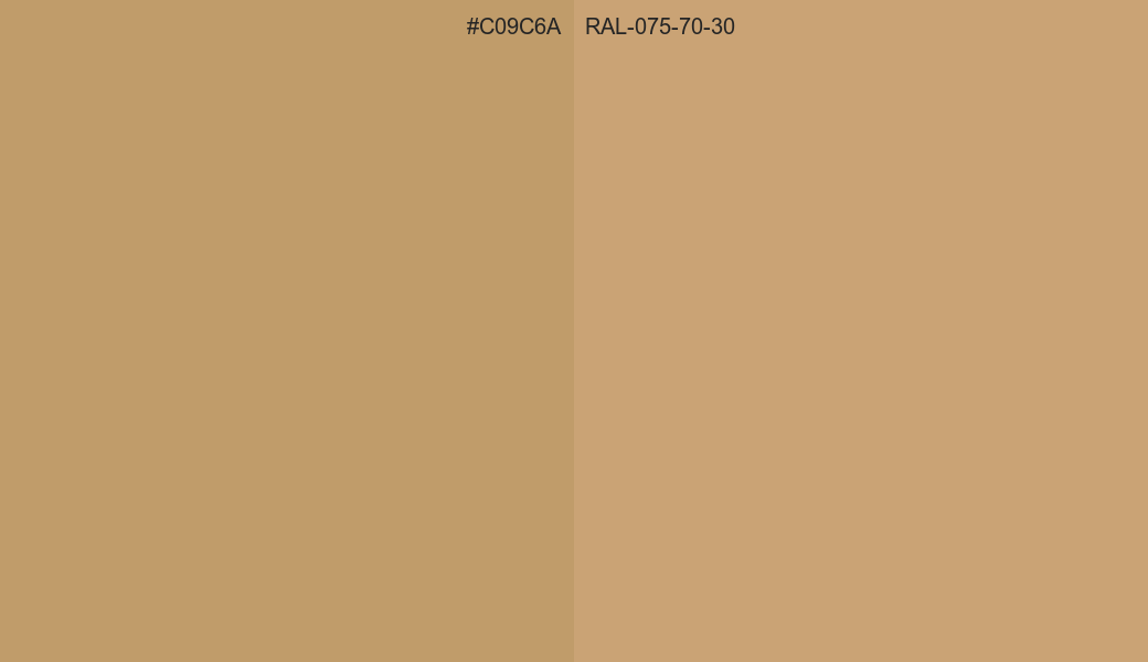 HEX Color C09C6A to RAL 075 70 30 Conversion comparison
