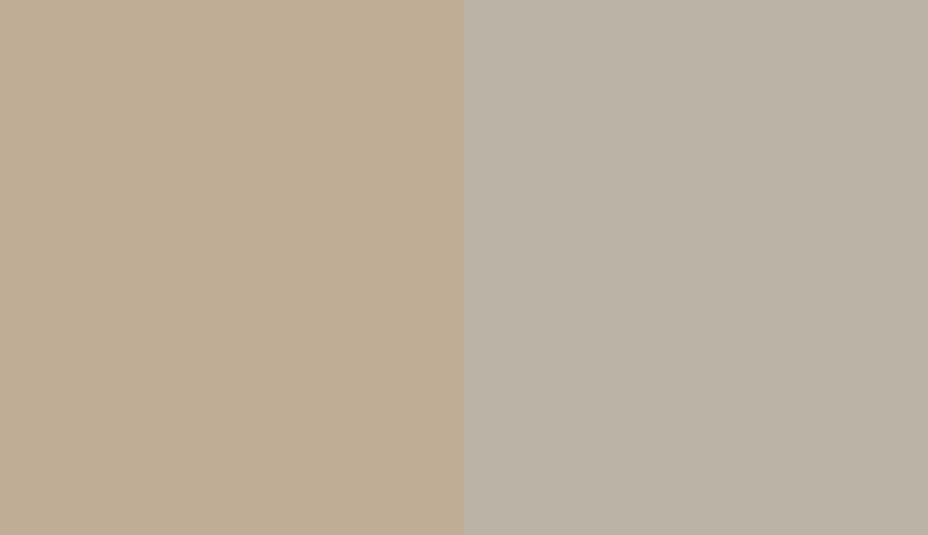 HEX #C0AD95 to RAL 7032