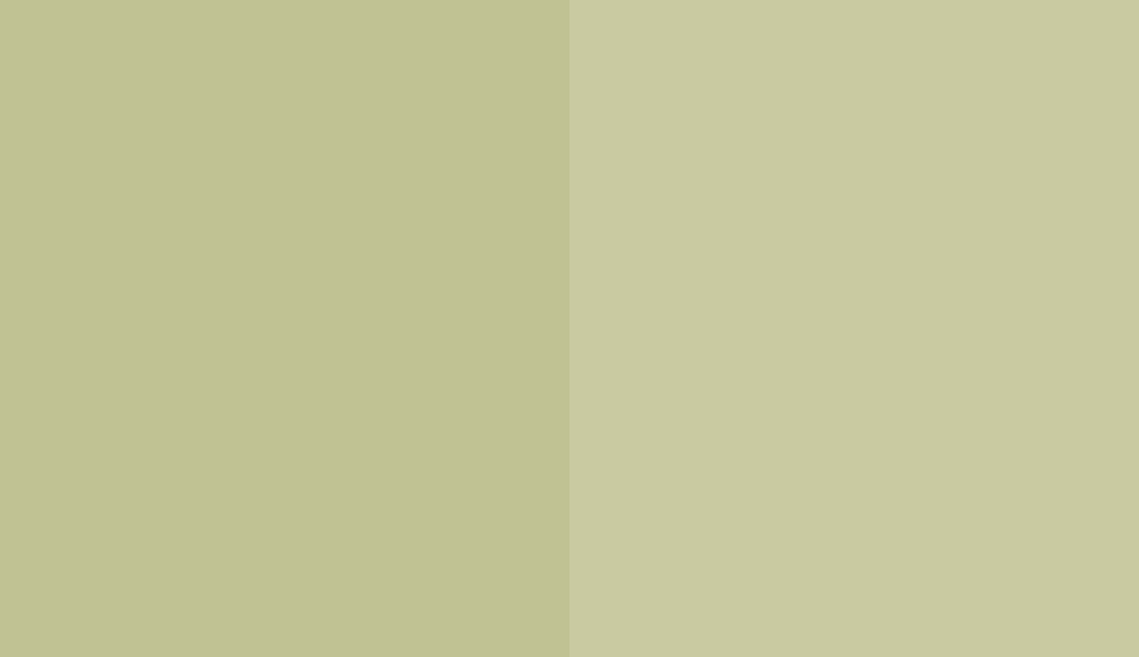 HEX #C0C293 to RAL 110 80 20