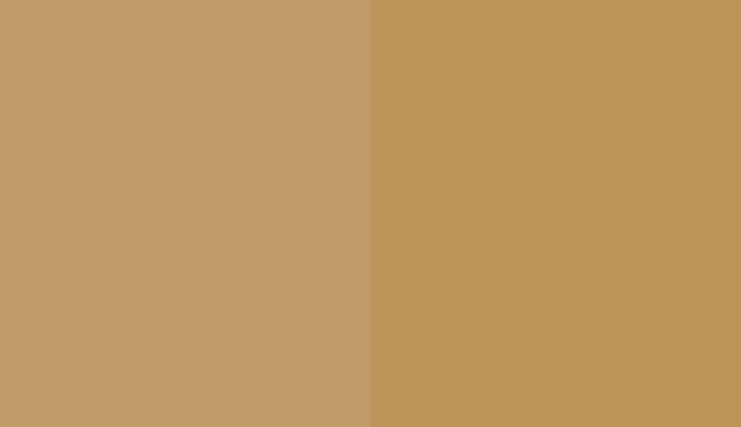 HEX #C19B68 to RAL 1024 HEX #C19B68 to RAL 1024