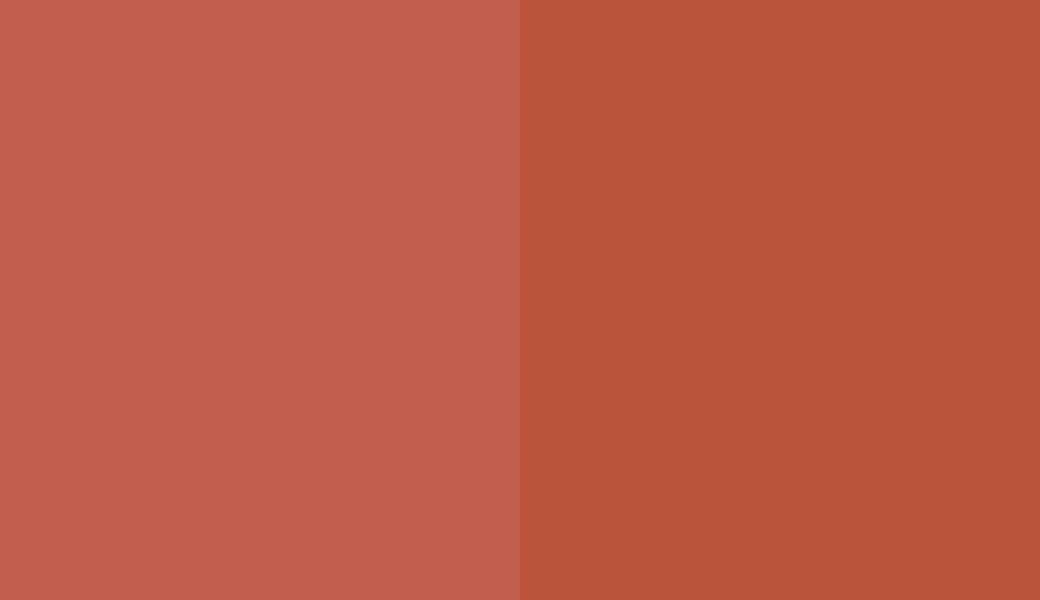 HEX #C25F4F to RAL 040 50 50 HEX #C25F4F to RAL 040 50 50