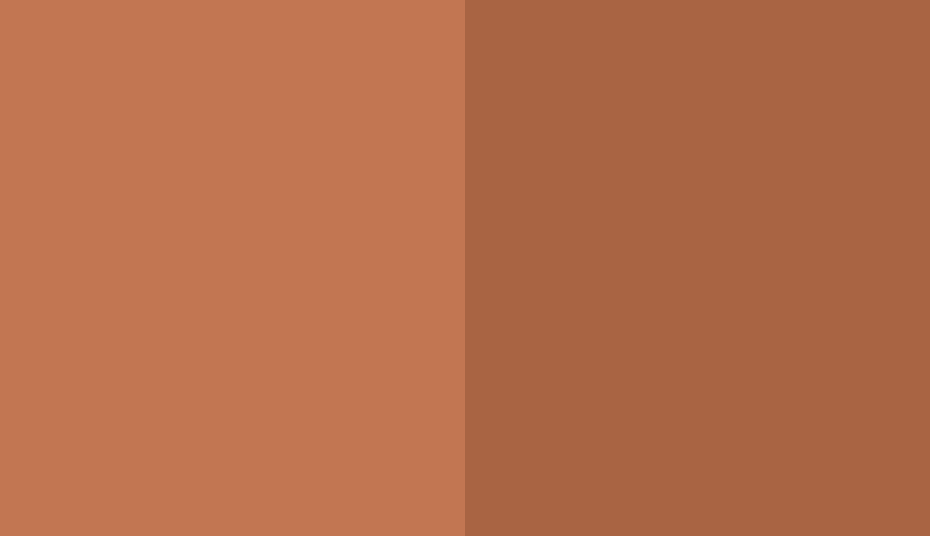 HEX #C27652 to RAL 8023