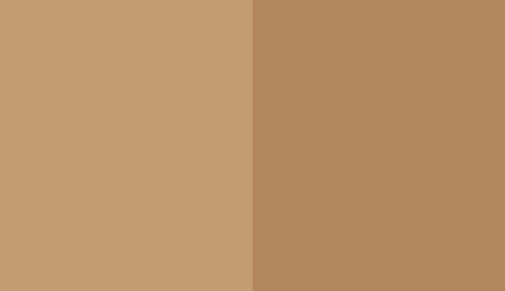HEX #C39C6F to RAL 1011 HEX #C39C6F to RAL 1011
