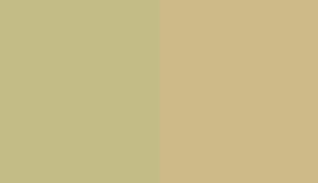 HEX #C3BC86 to RAL 1000