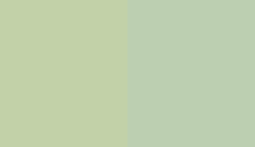 HEX #C3D1A9 to RAL 6019 HEX #C3D1A9 to RAL 6019