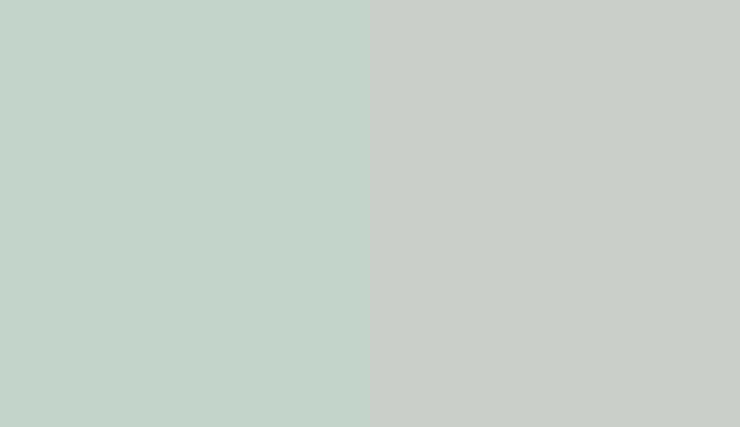 HEX #C3D4CA to RAL 9018