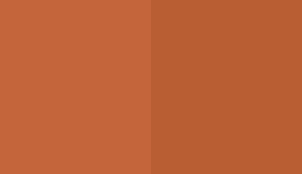 HEX #C4653B to RAL 050 50 50
