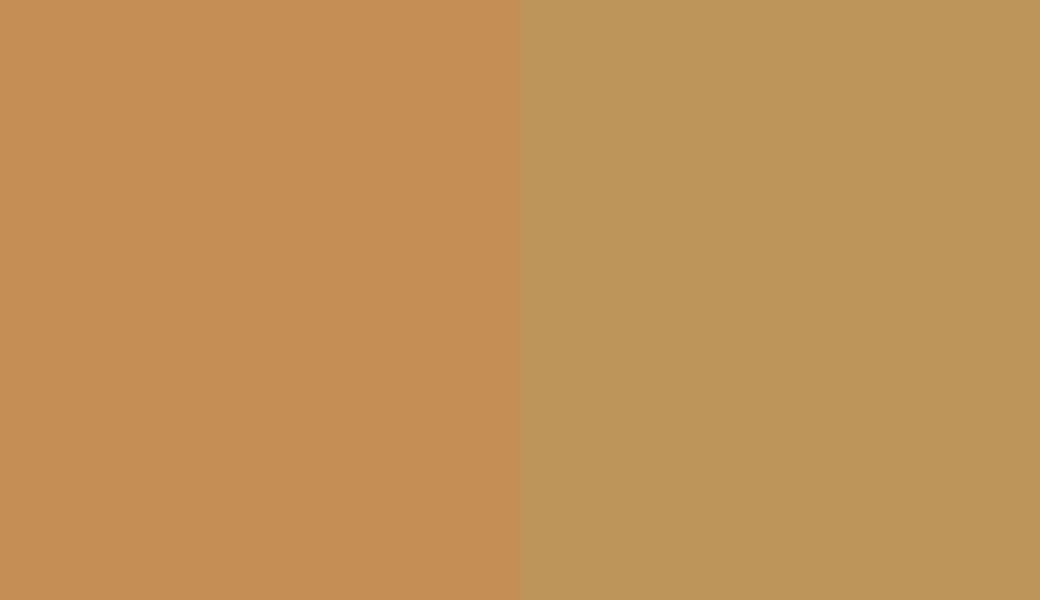 HEX #C48E55 to RAL 1024 HEX #C48E55 to RAL 1024