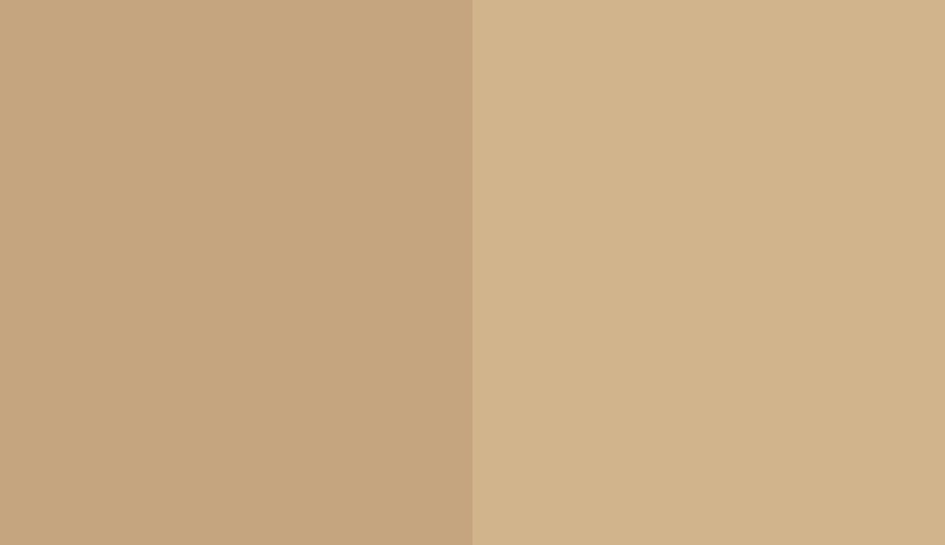 HEX #C4A580 to RAL 1001 HEX #C4A580 to RAL 1001