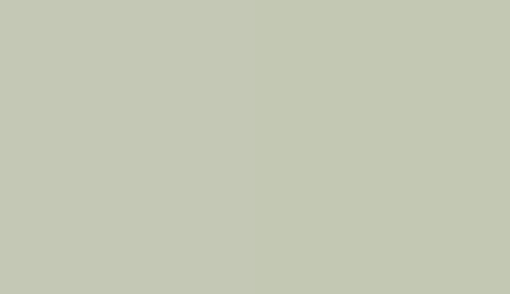 HEX #C4C8B5 to RAL 120 80 10 HEX #C4C8B5 to RAL 120 80 10
