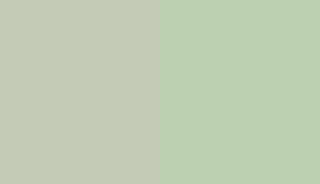 HEX #C4CBB6 to RAL 6019 HEX #C4CBB6 to RAL 6019