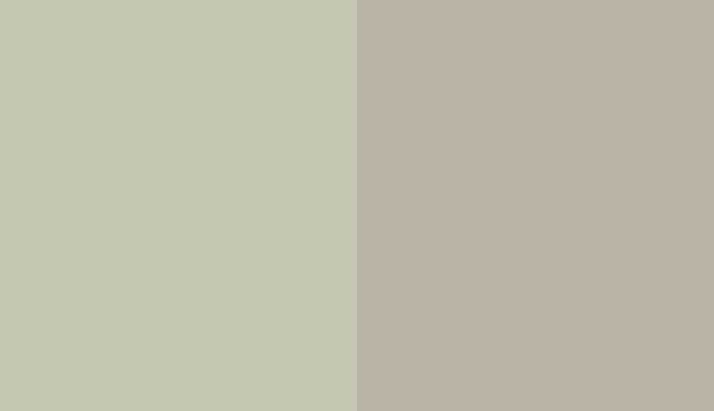 HEX #C5C6B0 to RAL 7032